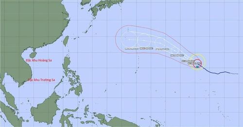 Mô hình dự báo quỹ đạo di chuyển của siêu bão Dolphin theo Cơ quan Khí tượng Nhật Bản. Đồ họa: Trung tâm Dự báo khí tượng - thủy văn quốc gia