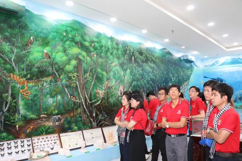  Đại biểu tìm hiểu các loài động thực vật tại Vườn Quốc gia Côn Đảo 