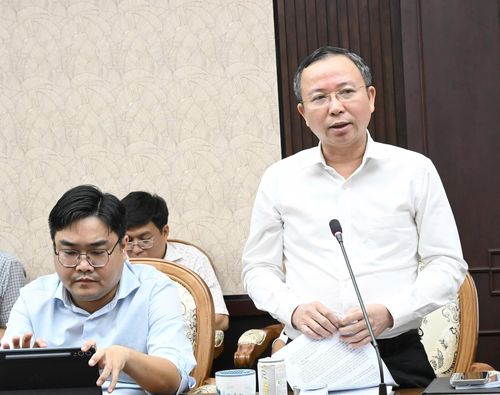  Phó Trưởng Ban Tổ chức Thành ủy TPHCM Đặng Quốc Toàn phát biểu tại hội nghị. Ảnh: VIỆT DŨNG 