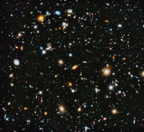 Ảnh: scienceblogs