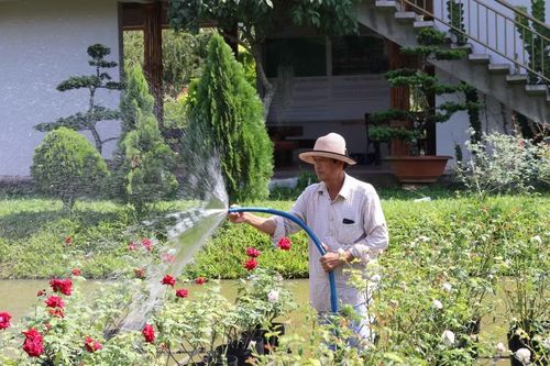 Ông Dương Văn Quế, con trai của ông Tư Tôn xây dựng địa điểm du lịch mang tên Vườn hồng Tư Tôn, nhằm phát triển du lịch địa phương và giữ thương hiệu vườn hồng.