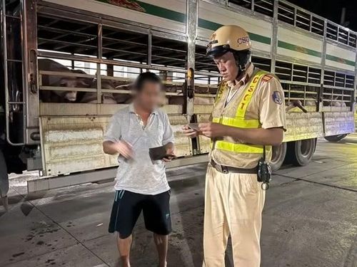 Tổ công tác Đội Cảnh sát giao thông Rạch Chiếc - Công an TPHCM phối hợp lực lượng kiểm dịch TPHCM tổ chức kiểm tra xe vận chuyển heo có dấu hiệu vi phạm vào ngày 26/7 (ảnh: CACC).