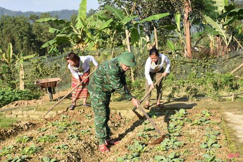 BĐBP Bản Giàng hướng dẫn đồng bào dân tộc Chứt sản xuất rau xanh trong vườn hộ.