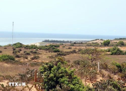 Phần đất vùng lõi nơi xây dựng Nhà máy điện hạt nhân Ninh Thuận 1 ở thôn Vĩnh Trường, xã Phước Dinh. (Ảnh: Công Thử/TTXVN)