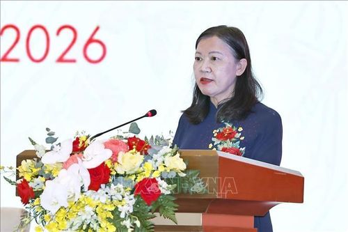 Chủ nhiệm Ủy ban Dân nguyện và Giám sát của Quốc hội Lê Thị Nga phát biểu. Ảnh: Doãn Tấn/TTXVN