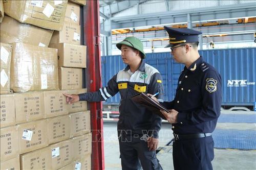 Lực lượng Hải quan cửa khẩu Chi Ma (Lạng Sơn) kiểm soát chủng loại hàng hóa nhập khẩu. Ảnh minh họa: Quang Duy/TTXVN