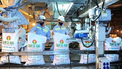 Tại thời điểm 30/6/2026, tổng tài sản của Đạm Cà Mau đạt 21.837 tỷ đồng (Ảnh: PVCFC).
