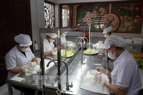 Sơ chế tổ yến tại Công ty TNHH Thương mại Yến sào Minh Phát Việt Nam, phường Rạch Giá, tỉnh An Giang. Ảnh: Lê Huy Hải - TTXVN