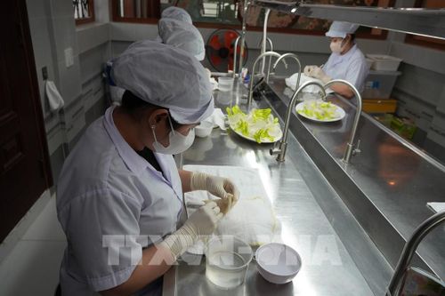 Sơ chế tổ yến tại Công ty TNHH Thương mại Yến sào Minh Phát Việt Nam, phường Rạch Giá, tỉnh An Giang. Ảnh: Lê Huy Hải - TTXVN
