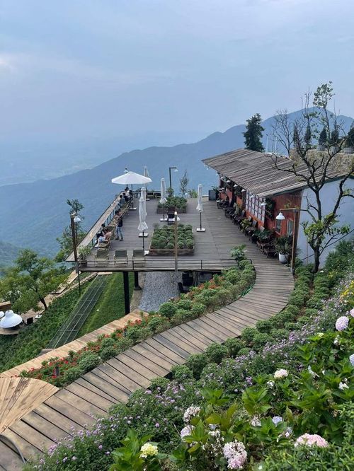 Những quán cà phê đẹp mê hồn ở Tam Đảo. Ảnh: báo Lao Động