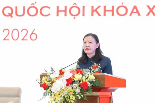 Chủ nhiệm Ủy ban Dân nguyện và Giám sát Lê Thị Nga phát biểu
