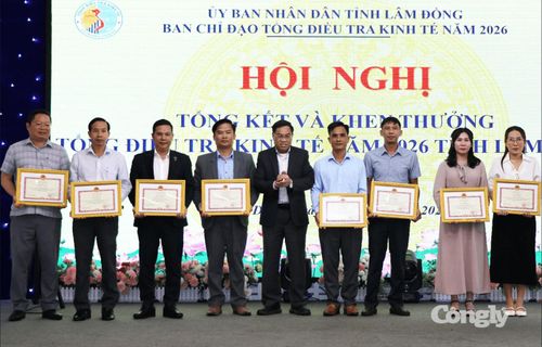 Nhiều tập thể, cá nhân được trao Giấy khen của Trưởng Thống kê tỉnh.