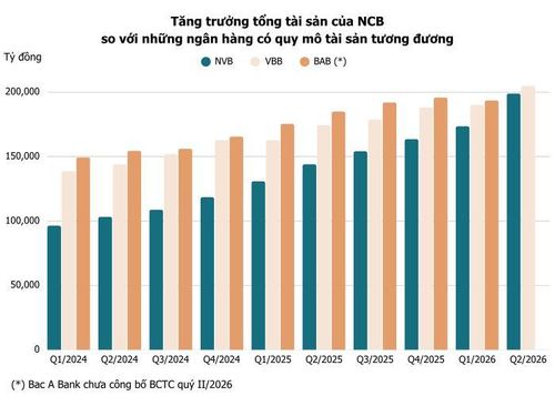 Tổng tài sản của NCB tăng gấp đôi sau 10 quý, vượt xa tốc độ tăng tổng tài sản của một số ngân hàng quy mô nhỏ. Ảnh: T.D tổng hợp từ BCTC