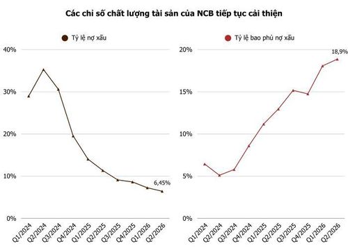 Ảnh: T.D tổng hợp từ BCTC