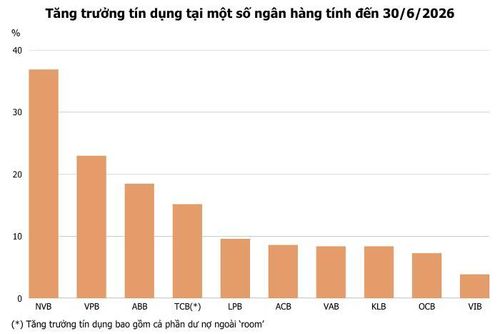 Ảnh: T.D tổng hợp từ BCTC