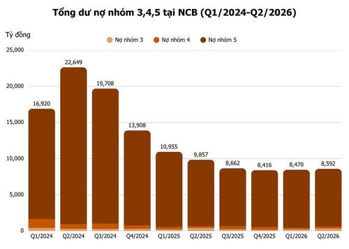 Ảnh: T.D tổng hợp từ BCTC