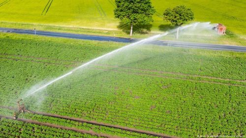 Các chuyên gia cho rằng hệ thống tưới tiêu chỉ thực sự mang lại hiệu quả kinh tế đối với một số loại cây trồng có giá trị cao, chứ không phải với tất cả các loại cây ăn quả. Ảnh: Julian Stratenschulte/dpa/picture alliance