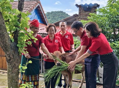 Đại diện Cụm thi đua số 3 trao bò giống hỗ trợ sinh kế cho hộ nghèo tại xã Mường Phăng, tỉnh Điện Biên.