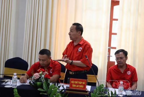 Đại biểu tỉnh Lai Châu tham luận tại hội nghị.
