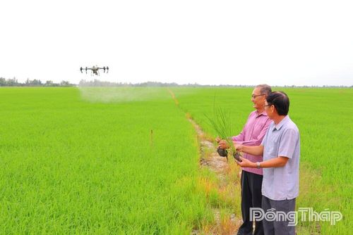 Khoa học - công nghệ đang từng bước thay đổi phương thức sản xuất lúa của nông dân Đồng Tháp theo hướng hiện đại, tiết kiệm chi phí và nâng cao giá trị.