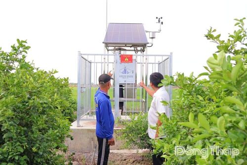 Anh Nguyễn Anh Tuấn (bên phải), nông dân ấp Mỹ Long 4, xã Mỹ Hiệp theo dõi dữ liệu từ hệ thống quan trắc thông minh trên điện thoại để chủ động chăm sóc vườn cây.