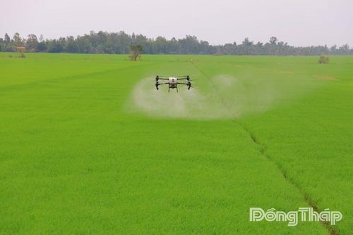 Máy bay không người lái được ứng dụng phun thuốc bảo vệ thực vật trên cánh đồng lúa, góp phần giảm chi phí sản xuất, nâng cao hiệu quả và giảm phát thải.