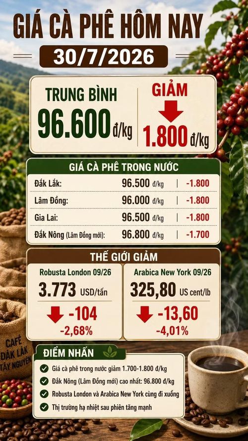Infographic (AI)