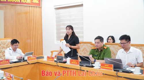 Đồng chí Đào Thị Thanh Nhàn – Phó Trưởng ban Thường trực, Ban Tuyên giáo và Dân vận Tỉnh ủy phát biểu tại buổi họp báo.