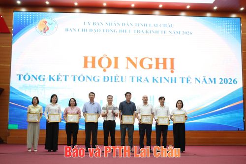Đồng chí Lê Lâm Bằng - Trưởng Thống kê tỉnh trao giấy khen cho các tập thể.