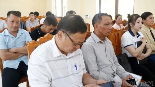 Các đại biểu dự hội nghị.