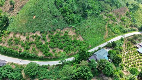 Na Xuân Quang được quy hoạch thành vùng để tập trung phát triển.