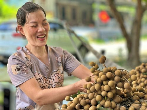 Niềm vui mùa thu hoạch nhãn của người dân xã Xuân Quang.
