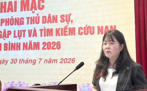 Đồng chí Hoàng Thị Thanh Bình - Phó Chủ tịch HĐND tỉnh phát biểu khai mạc cuộc diễn tập.