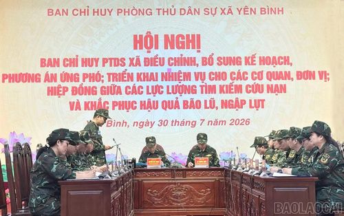 Thực hành diễn tập.