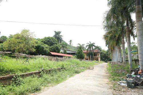 Nhà máy chế biến chè Liên Sơn đóng cửa, bỏ hoang.
