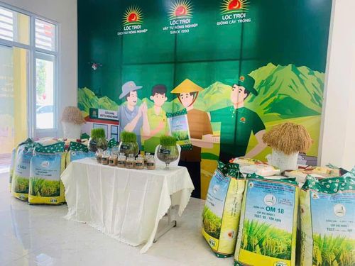 Tập đoàn Lộc Trời tham gia cung ứng giống, hỗ trợ kỹ thuật và bao tiêu sản phẩm.
