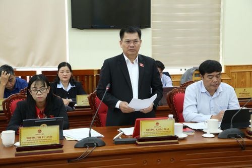 Đồng chí Dương Khắc Mai, Tỉnh ủy viên, Phó Trưởng đoàn chuyên trách Đoàn ĐBQH tỉnh phát biểu tại buổi làm việc