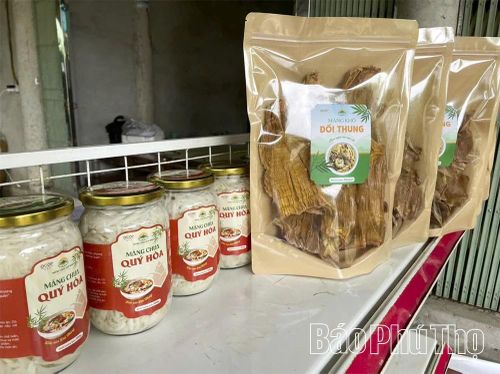 Hiện nay, măng ở Đồi Thung được chế biến thành nhiều sản phẩm có chất lượng được thị trường trong và ngoài tỉnh đón nhận.