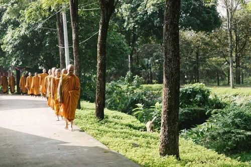 Mùa an cư không chỉ là thời gian để chư Tăng vun bồi đạo lực mà còn là cơ hội để hàng Phật tử thực hành hạnh bố thí, gieo trồng ruộng phước và nuôi dưỡng đời sống tâm linh