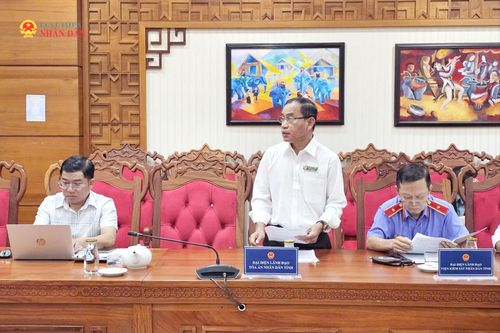 Phó Chánh án Tòa án nhân dân tỉnh Đắk Lắk Y Thông KBuôr phát biểu tại hội nghị