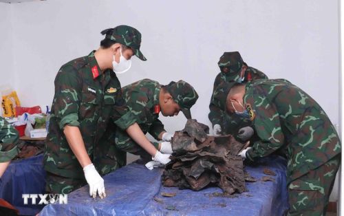 Các quy trình sau khi khai quật hài cốt liệt sĩ tại công viên Lê Thị Riêng được thực hiện cẩn thận, tỉ mỉ, khoa học, đảm bảo an toàn. Ảnh: Xuân Khu/ TTXVN