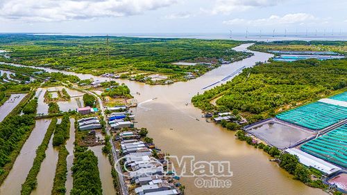 Khu vực ngã ba sông Dinh Củ, ấp Dinh Củ, xã Tân Ân, với khoảng 100 hộ dân sinh sống, là “điểm nóng” sạt lở nhiều năm qua. Ðịa phương kiến nghị đầu tư xây kè bảo vệ dài khoảng 1.000 m.