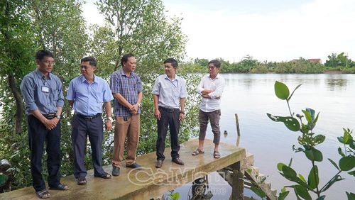 Chi cục Thủy lợi tỉnh phối hợp cùng địa phương khảo sát thực tế hiện trường sạt lở tại ấp Cái Keo, xã Định Thành.