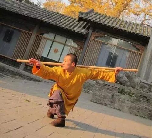 Côn pháp Thiếu Lâm có quá trình hình thành và phát triển lâu đời - Ảnh: Sohu