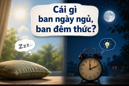 Cái gì ban ngày ngủ, ban đêm thức?. (Ảnh minh họa)