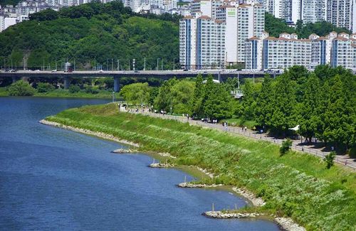 Tuyến xe đạp dọc sông Hàn (Hàn Quốc) kết nối với hệ thống giao thông công cộng và các công viên. Ảnh Koreabybike.com