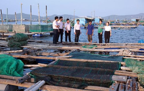 Tín dụng chính sách giúp người dân vùng biên giới biển tái thiết sản xuất, ổn định cuộc sống.