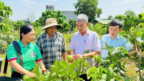 Nguồn vốn tín dụng chính sách giúp người dân vùng biên giới phát triển sản xuất.