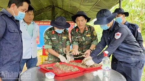 Cán bộ, chiến sĩ Đội K92 cẩn thận lấy mẫu hài cốt liệt sĩ tìm được. (Ảnh: PHƯƠNG VŨ)