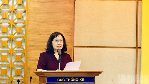 Cục trưởng Thống kê Nguyễn Thị Hương khẳng định, đề án tạo nền tảng ban đầu cho thống kê khu vực kinh tế chưa được quan sát tại Việt Nam. (Ảnh: HNV)